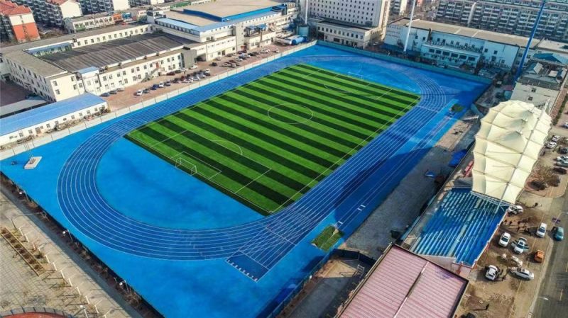 塑胶跑道是什么材料做的 塑胶跑道材料有哪几种